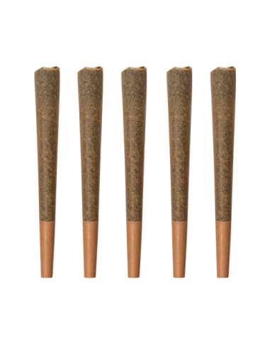 Pack de 5 Pre Rolls x 0.5 gr by Iguana Smoke